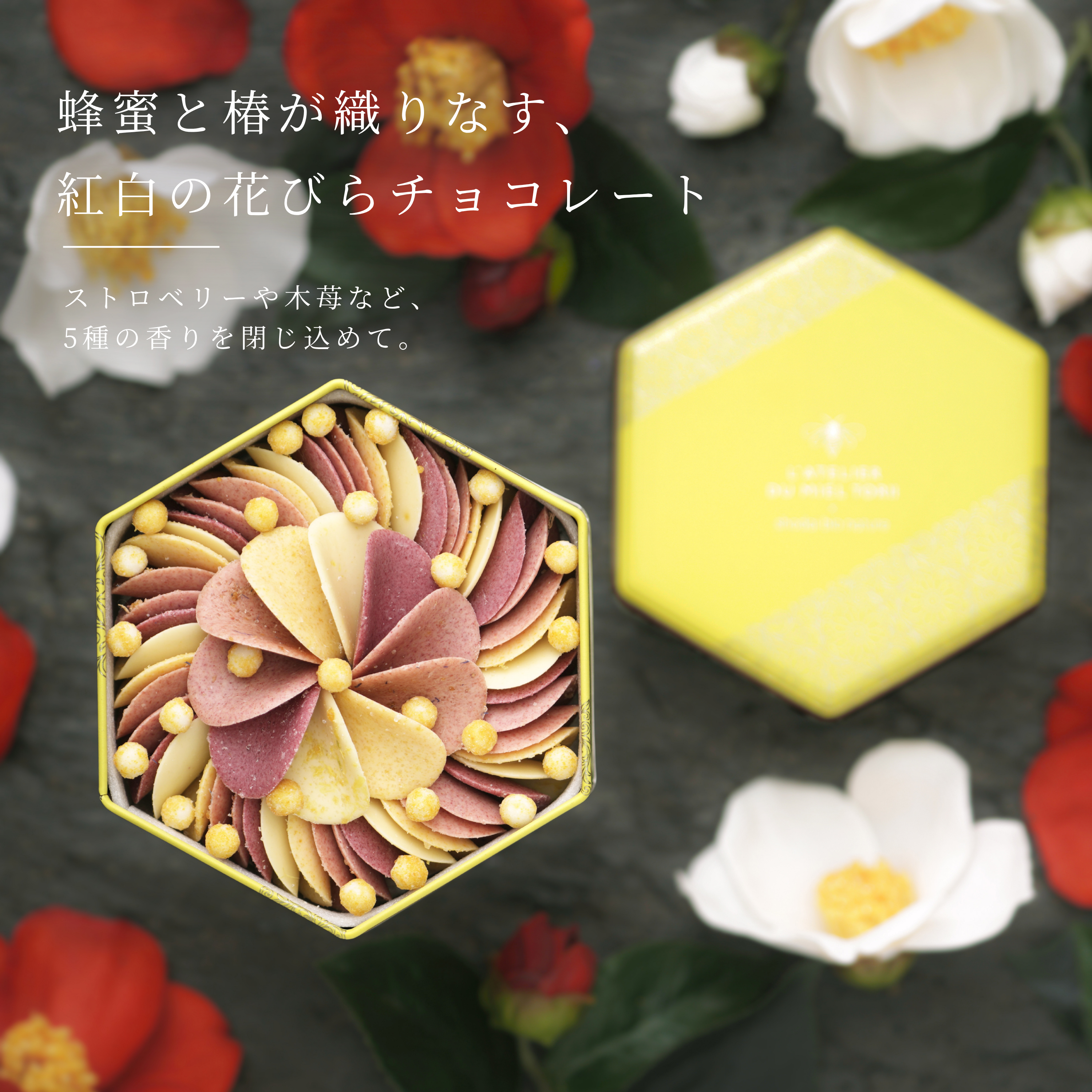 蜂蜜とペタルカメリア 120g
